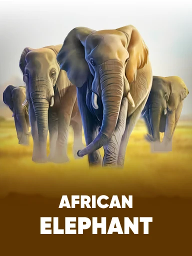 African Elephant game thumbnail
